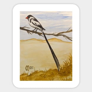 Pin-tailed whydah in the savanna Sticker